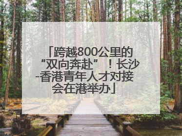 跨越800公里的“双向奔赴”！长沙-香港青年人才对接会在港举办