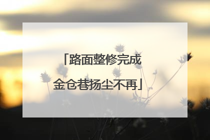 路面整修完成 金仓巷扬尘不再