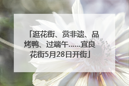 逛花街、赏非遗、品烤鸭、过端午……宜良花街5月28日开街
