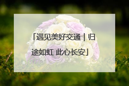 遇见美好交通｜归途如虹 此心长安