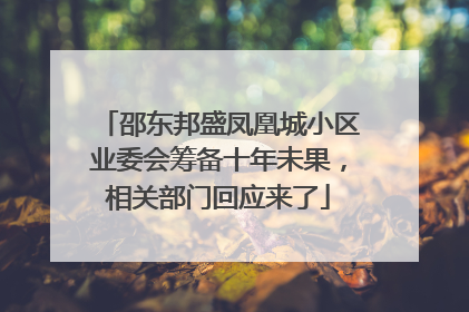 邵东邦盛凤凰城小区业委会筹备十年未果，相关部门回应来了