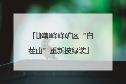 邯郸峰峰矿区“白茬山”重新披绿装