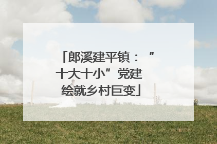 郎溪建平镇：“十大十小”党建 绘就乡村巨变