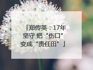 郑传英：17年坚守 把“伤口”变成“责任田”