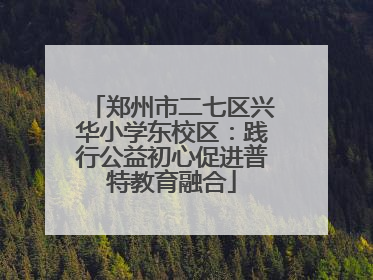 郑州市二七区兴华小学东校区：践行公益初心促进普特教育融合