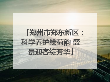 郑州市郑东新区：科学养护绘荷韵 盛景迎客绽芳华