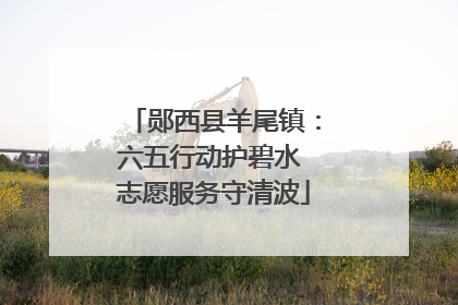 郧西县羊尾镇：六五行动护碧水 志愿服务守清波