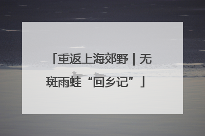 重返上海郊野｜无斑雨蛙“回乡记”