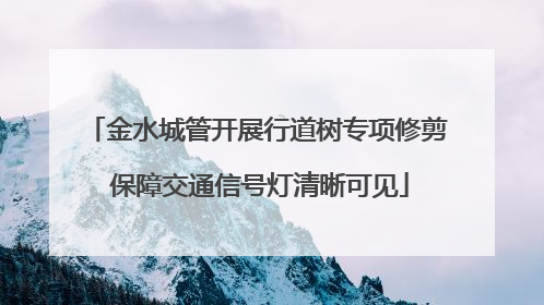 金水城管开展行道树专项修剪 保障交通信号灯清晰可见