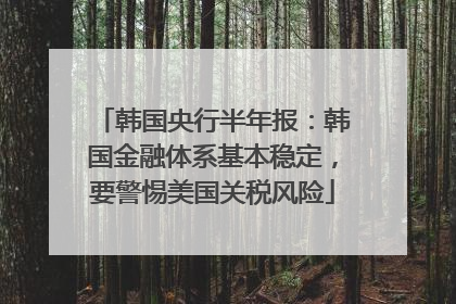 韩国央行半年报：韩国金融体系基本稳定，要警惕美国关税风险