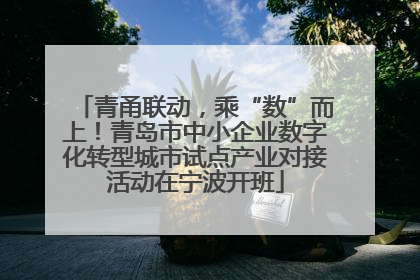 青甬联动，乘“数”而上！青岛市中小企业数字化转型城市试点产业对接活动在宁波开班