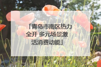 青岛市南区热力全开 多元场景激活消费动能