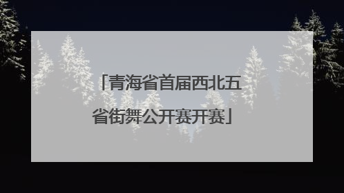 青海省首届西北五省街舞公开赛开赛
