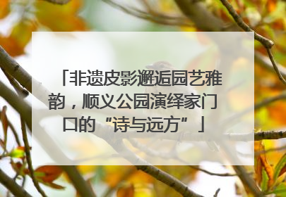 非遗皮影邂逅园艺雅韵，顺义公园演绎家门口的“诗与远方”