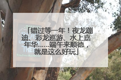 错过等一年！夜龙蹦迪、彩龙巡游、水上嘉年华……端午来顺德，就是这么好玩