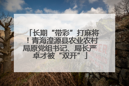 长期“带彩”打麻将！青海湟源县农业农村局原党组书记、局长严卓才被“双开”