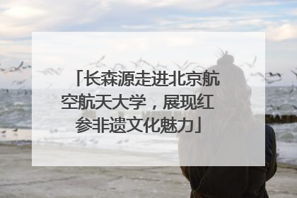 长森源走进北京航空航天大学，展现红参非遗文化魅力