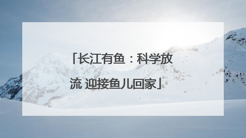 长江有鱼：科学放流 迎接鱼儿回家