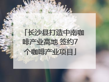 长沙县打造中南咖啡产业高地 签约7个咖啡产业项目