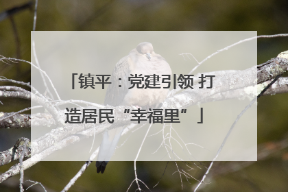 镇平：党建引领 打造居民“幸福里”
