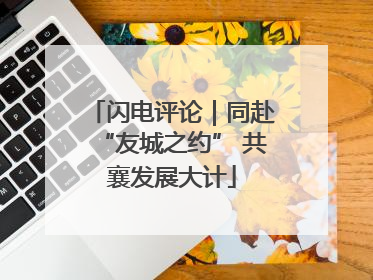 闪电评论｜同赴“友城之约” 共襄发展大计