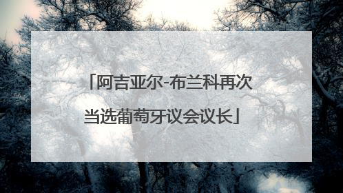 阿吉亚尔-布兰科再次当选葡萄牙议会议长