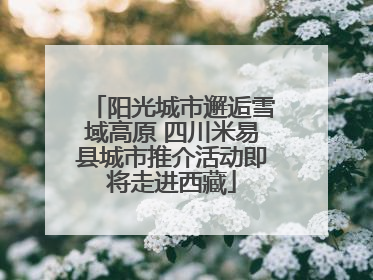 阳光城市邂逅雪域高原 四川米易县城市推介活动即将走进西藏