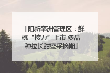 阳新率洲管理区：鲜桃“接力”上市 多品种拉长甜蜜采摘期
