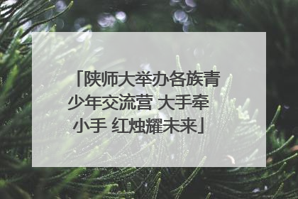 陕师大举办各族青少年交流营 大手牵小手 红烛耀未来