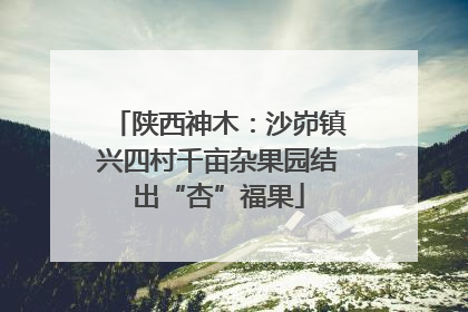 陕西神木：沙峁镇兴四村千亩杂果园结出“杏”福果
