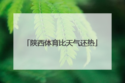 陕西体育比天气还热