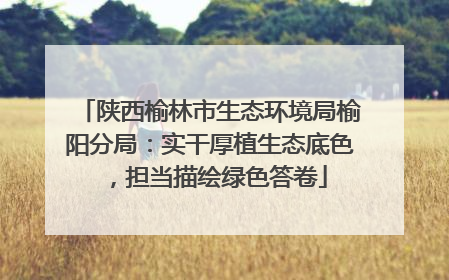 陕西榆林市生态环境局榆阳分局：实干厚植生态底色，担当描绘绿色答卷