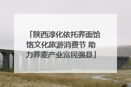 陕西淳化依托荞面饸饹文化旅游消费节 助力荞麦产业富民强县
