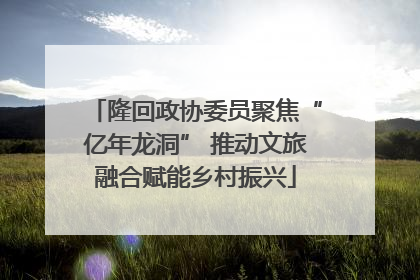 隆回政协委员聚焦“亿年龙洞” 推动文旅融合赋能乡村振兴