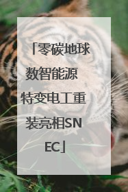 零碳地球数智能源 特变电工重装亮相SNEC