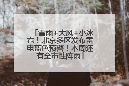 雷雨+大风+小冰雹！北京多区发布雷电蓝色预警！本周还有全市性阵雨