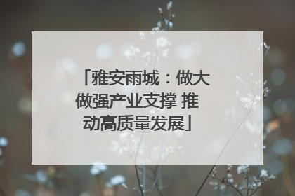 雅安雨城：做大做强产业支撑 推动高质量发展