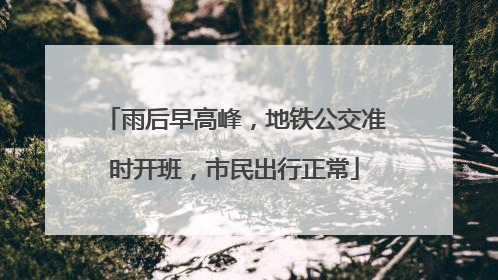 雨后早高峰，地铁公交准时开班，市民出行正常