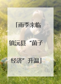 雨季来临 镇沅县“菌子经济”升温