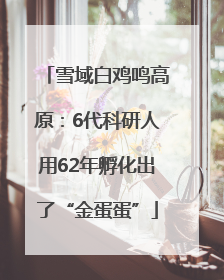 雪域白鸡鸣高原：6代科研人用62年孵化出了“金蛋蛋”