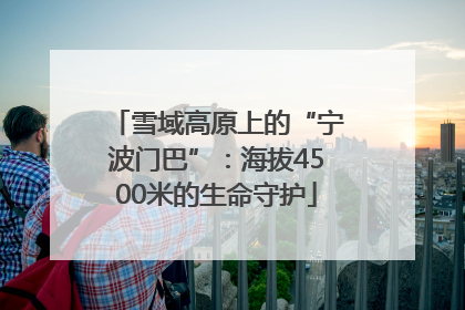 雪域高原上的“宁波门巴”：海拔4500米的生命守护