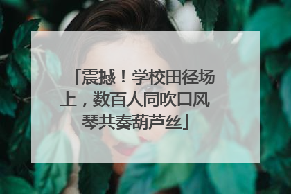 震撼！学校田径场上，数百人同吹口风琴共奏葫芦丝