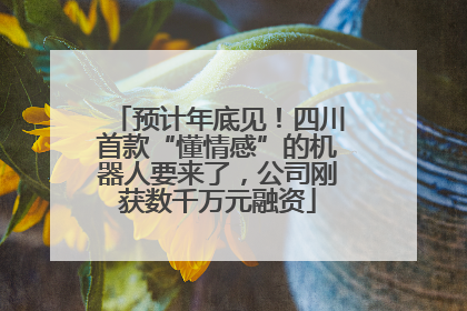 预计年底见！四川首款“懂情感”的机器人要来了，公司刚获数千万元融资