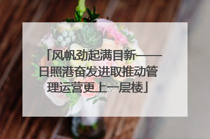 风帆劲起满目新——日照港奋发进取推动管理运营更上一层楼