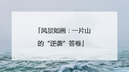风景如画：一片山的“逆袭”答卷