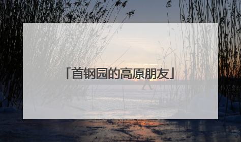 首钢园的高原朋友