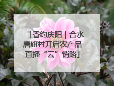 香约庆阳｜合水唐旗村开启农产品直播“云”销路