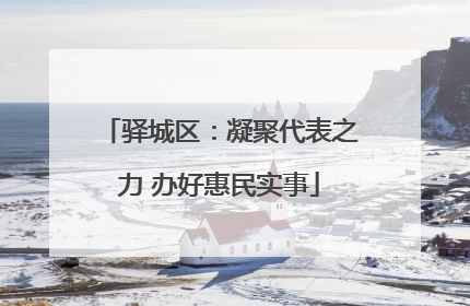 驿城区：凝聚代表之力 办好惠民实事