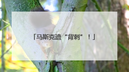 马斯克遭“背刺”！