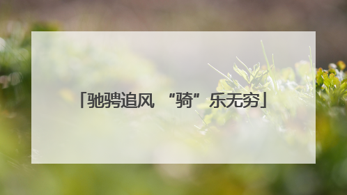驰骋追风 “骑”乐无穷